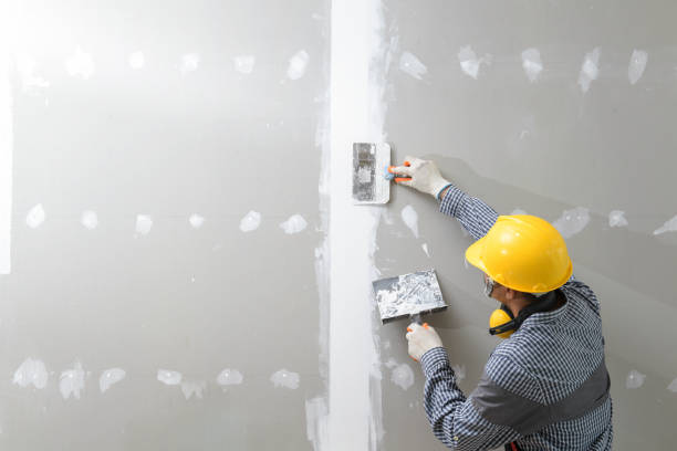 Best Water-Damaged Drywall Repair  in USA